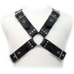 LEATHER BODY NARAMNICE - BUCKLES HARNESS